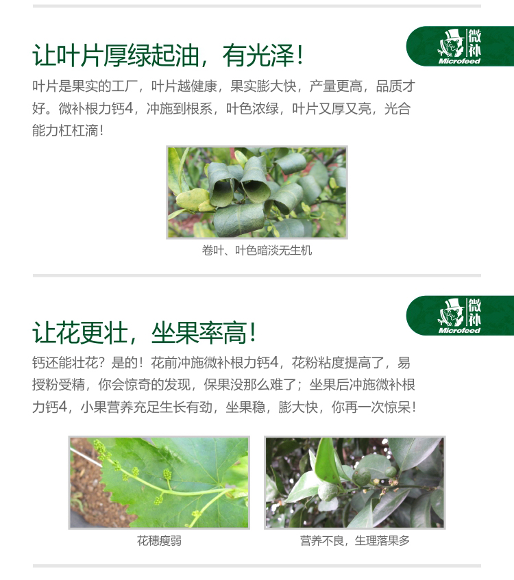 微補(bǔ)根力鈣4