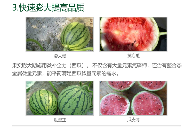 微補(bǔ)全力西瓜1kg