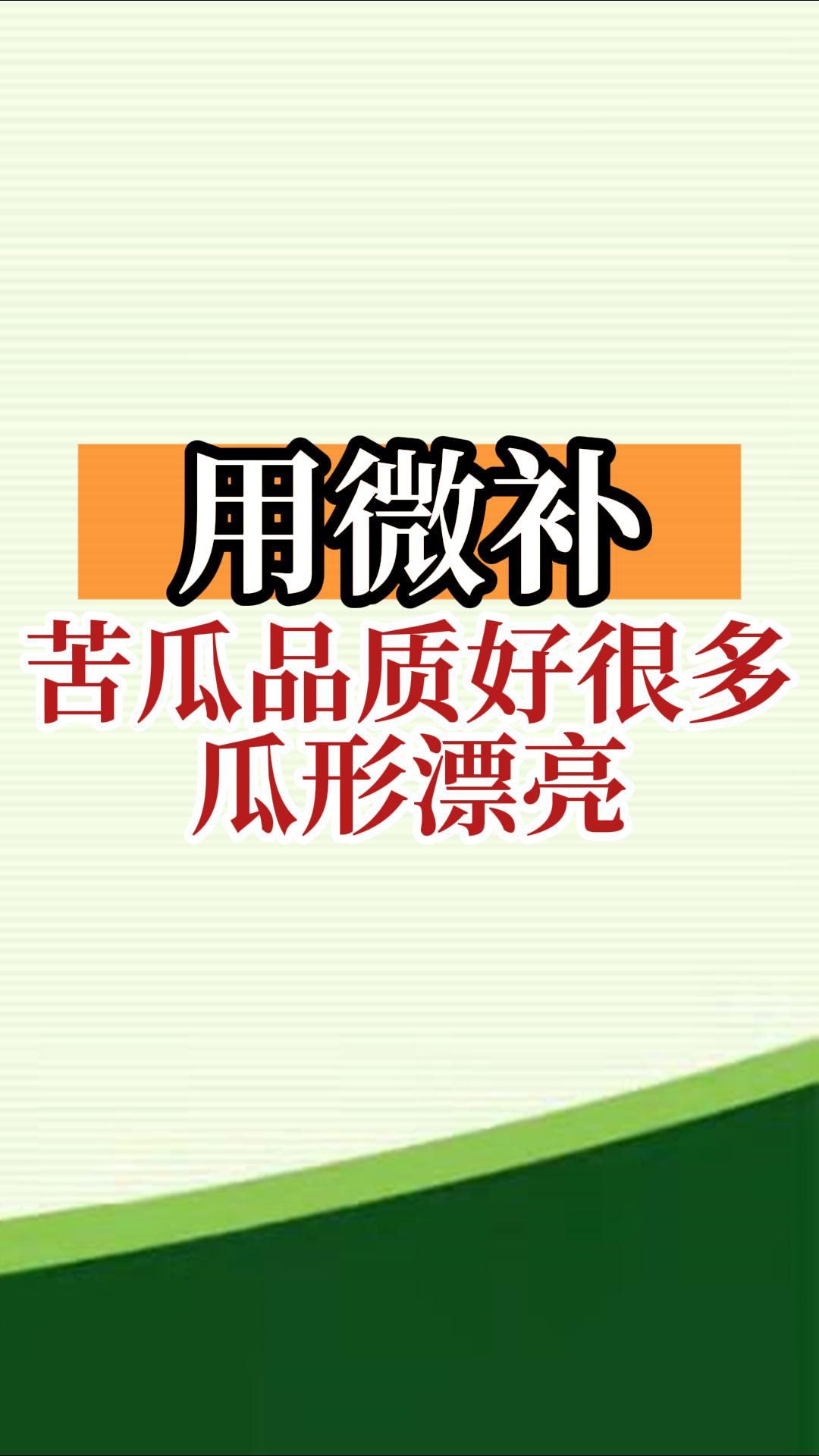 用微補(bǔ)，苦瓜品質(zhì)好很多，瓜形漂亮