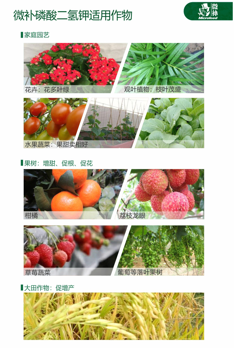 微補(bǔ)磷酸二氫鉀