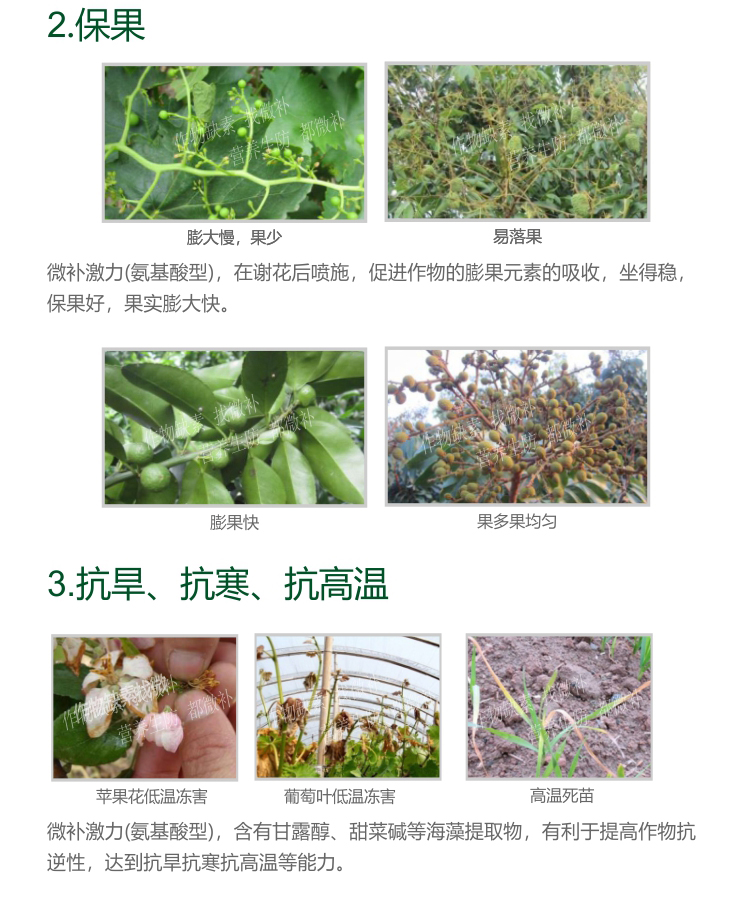 微補(bǔ)激力氨基酸型