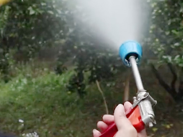 如何做好冬季清園，減少來年病蟲害影響