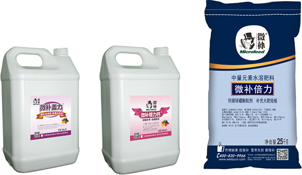 讓作物安全過冬的實用小妙招，速看