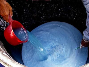 如何做好冬季清園，減少來(lái)年病蟲害影響