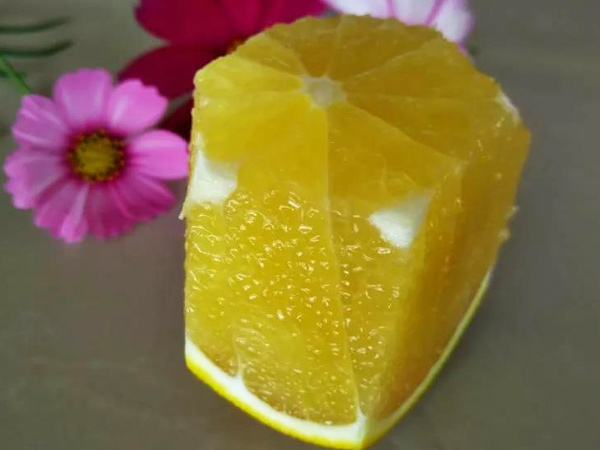 震驚！施秋肥還會影響果實賣價？