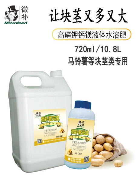 微補(bǔ)薯元寶