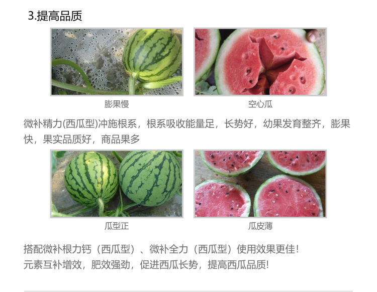 微補(bǔ)精力西瓜型