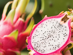 火龍果營養(yǎng)方案