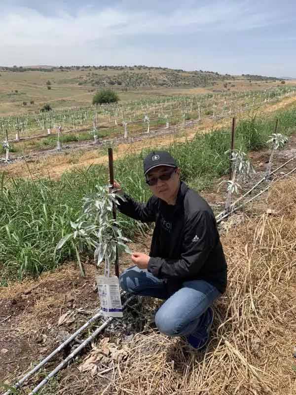 深度思考：我們到底應(yīng)該向以色列農(nóng)業(yè)學(xué)習(xí)什么？